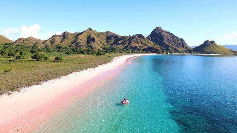 Keindahan Pantai Pink Lombok